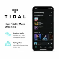 Compte Premium Tidal Music 1 an |   Service d'abonnement Tidal |   Plan familial |   1 place disponible