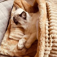 Vente en gros de pantoufles nid semi-fermé pour chat, lit amovible confortable et chaud pour l'hiver à nettoyage facile
