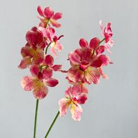 Anggrek Dendrobium Tekstur Sutra Melembapkan Seperti Sentuhan Asli, Bunga Sutra 3D Print untuk Dekorasi Ruang Tamu Rumah