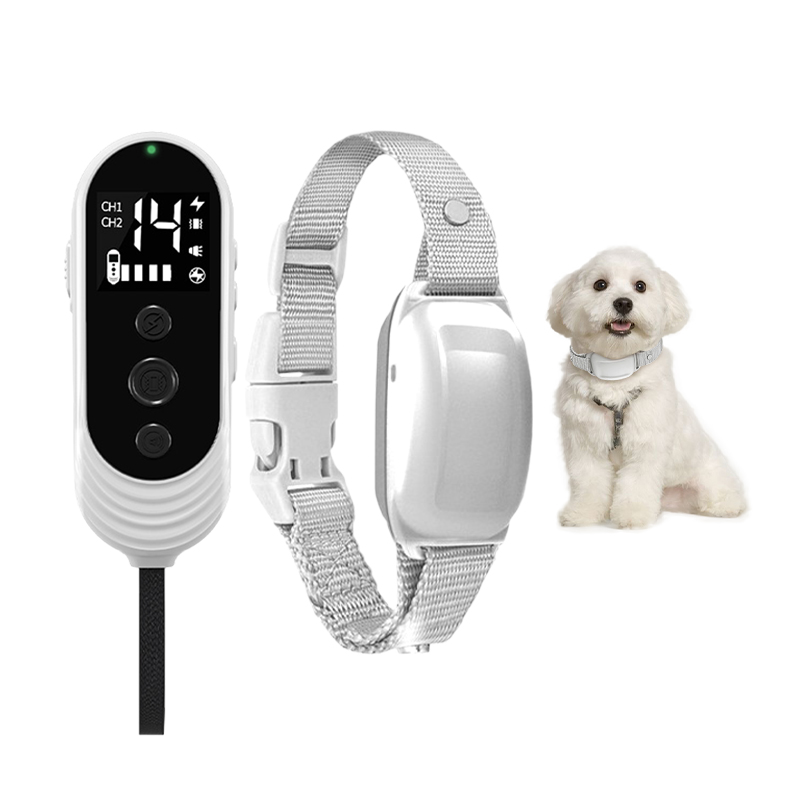 Effective Solutions for best dog shock collars reviews to Ensure Peaceful  Pet Environments