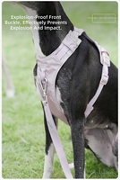Harnais et laisse réfléchissants anti-traction tendance pour chien, ensemble respirant en maille rembourrée, gilet de sport en polyester solide pour petits/moyens/grands chiens
