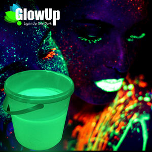 Glow in <span class=keywords><strong>the</strong></span> dark farbe für boden malerei photoluminecsent druck auf wand oberfläche straße linie beschichtung pigment - Product Image 1