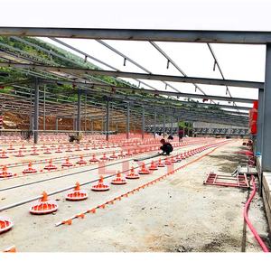 Otomatik kümes hayvanı Broiler besleyici tava tavuk besleyici kümes hayvancılığı - Product Image 5