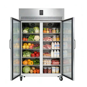Réfrigérateur-<span class=keywords><strong>congélateur</strong></span> commercial vertical à <span class=keywords><strong>double</strong></span> <span class=keywords><strong>porte</strong></span> vitrée, avec compresseur et vitrine réfrigérée, idéal pour les climats froids - Product Image 1