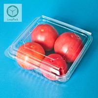 Conteneur à fruits en plastique PET jetable avec couvercle en dôme pour fruits