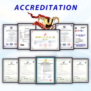 Trasportatore a Catena con Superficie a Doghe in Plastica per Linee di Produzione di Alimenti, Bevande e Imballaggi - Product Image 6