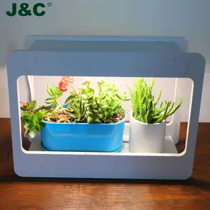 J&C Minigarden Mini Eragon Vegetable Garden Indoor Digital Garden Indoor Miniature Gardens Indoor 2022