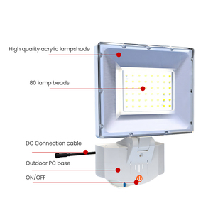 Nhà máy IP65 cao lumen 6000K COB Chip <span class=keywords><strong>LED</strong></span> năng lượng mặt trời lũ ánh sáng tiết kiệm năng lượng cảm biến chuyển động ngoài trời đảm bảo chất lượng sáng cao - Product Image 2