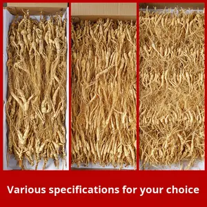 โสมภูเขาชางไป่ป่าตากแห้งทั้งสาขาสำหรับแช่ซุปแอลกอฮอล์ของผู้อาวุโส - Product Image 2