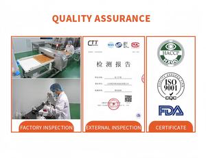 1kg di Albicocche Essiccate FD in Bulk, Chips Ovali di Frutta Croccanti e Dolci, Snack a Fette Conservati in Acqua, Naturali e Salutari - Product Image 6