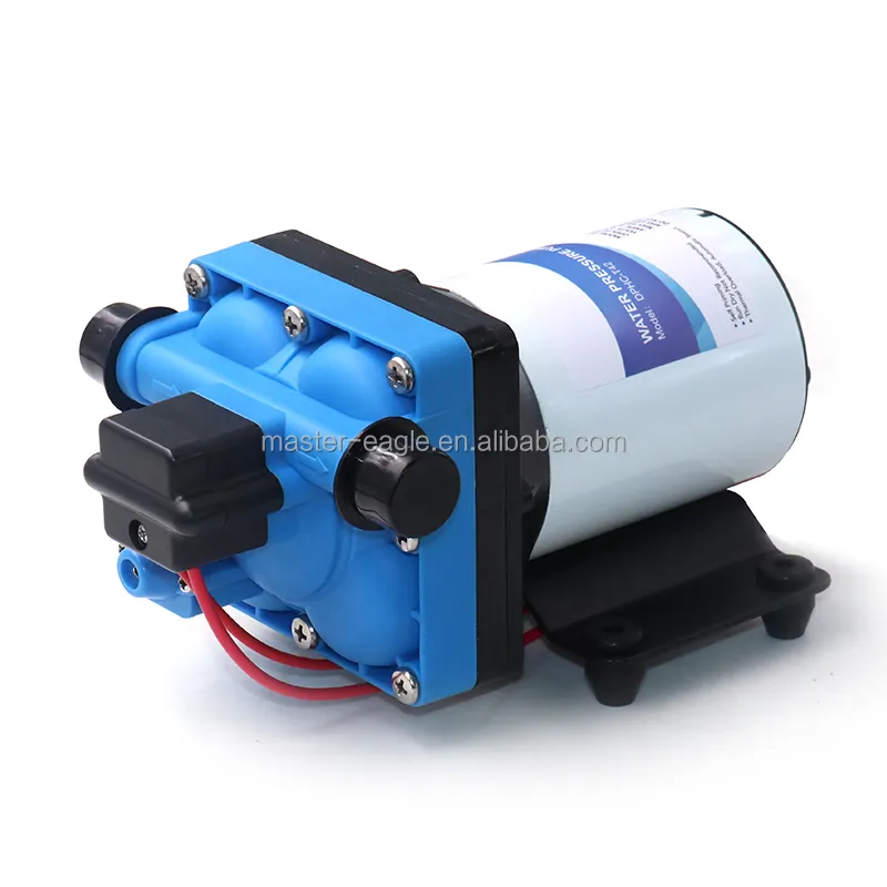 Custom Packing F42 DC 12V 24V 3.0GPM 11.3LPM Camping Marine 55psi High Pressure Water Pump For Yacht Cavavan