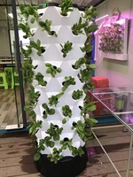 Système de Culture Hydroponique Vertical pour Herbes et Légumes, Intérieur et Extérieur, Tour de Plantation de Jardinage
