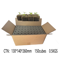 Petits cubes de plantation de graines Accessoires de système hydroponique Germination 150 cubes