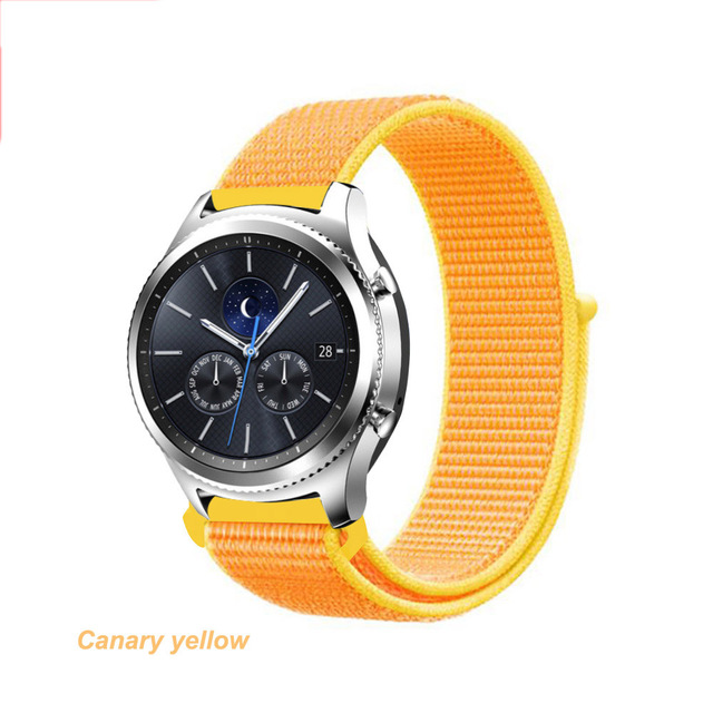 Canari jaune 40
