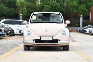 2025 Offre Spéciale femmes belle <span class=keywords><strong>ORA</strong></span> Ballet chat 401km édition Premium chine nouvelle énergie véhicule <span class=keywords><strong>ORA</strong></span> Ballet chat Mini Ev voiture - Product Image 3