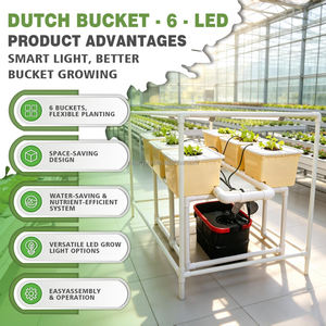Système hydroponique à seaux hollandais 6 sites avec éclairage LED <span class=keywords><strong>pour</strong></span> <span class=keywords><strong>plantes</strong></span>, seaux Bato, irrigation goutte à goutte, culture hors-sol, kit serre - Product Image 1
