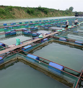 Promotion : Cages flottantes en PEHD pour aquaculture en eau de mer, filets anti-oiseaux pour prédateurs, élevage de Tilapia, haute résistance et durabilité - Product Image 3