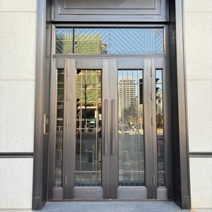 Revestimiento de Puerta de Metal Prensado de Aluminio para Puertas de Seguridad de Acero, Puertas Modernas de Acero Inoxidable para Casas - Product Image 1