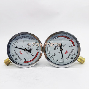 Manomètre résistant aux chocs YN100, filetage M20 1.5, matériau en acier, utilisation hydraulique - Product Image 1