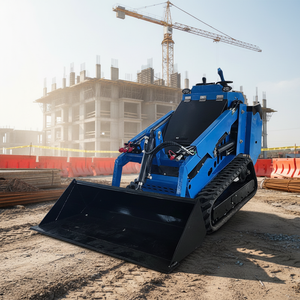 DP-T750 Nouvelle arrivée Chargeuse sur chenilles avec grappin à foin pour ferme Chargeuse compacte <span class=keywords><strong>pas</strong></span> chère Mini avec broyeur - Product Image 1