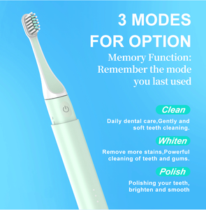 Seago Portable Adult Smart Ipx7 Rechargeable Customized Sonic Electric <strong>Toothbrush</strong> SG-585 Magnetic Charging with Smart Timer - Product Image 3