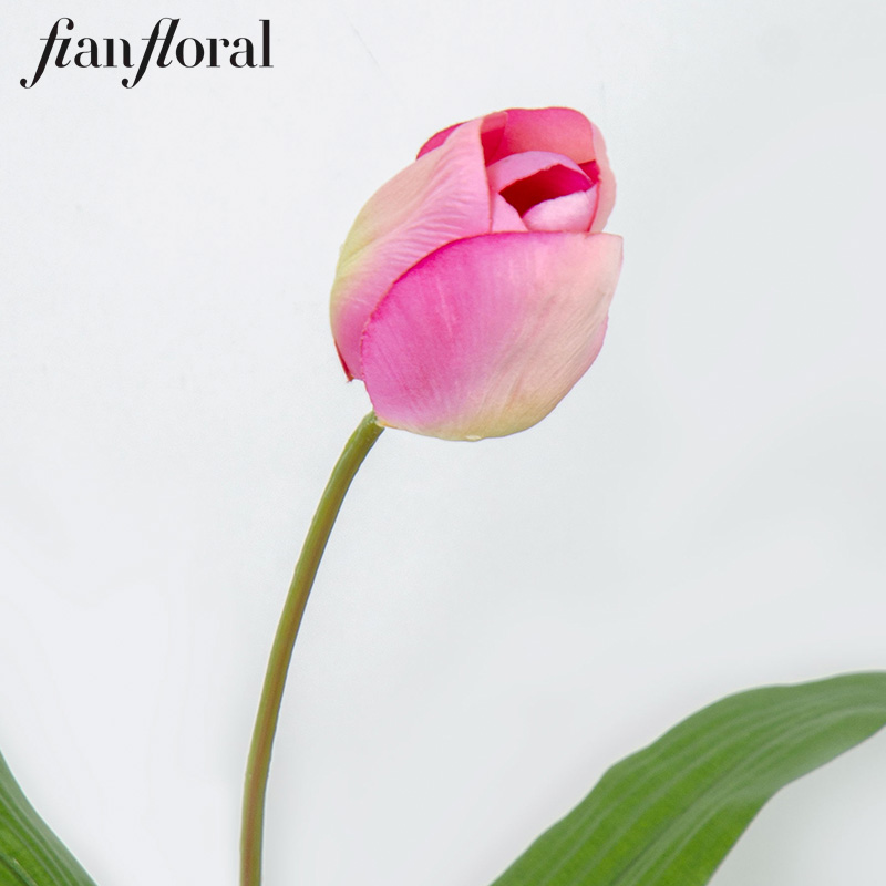 SP1058 rosa