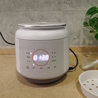 Mini-cuiseur à riz électrique 400W 1L, cuve en céramique, forme tambour, portable, cuisson rapide, maintien au chaud automatique avec minuteur