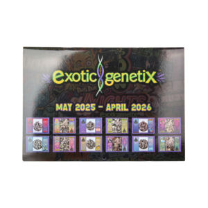 Vente chaude, prix bas, conception OEM, vente en gros, impression personnalisée de <span class=keywords><strong>calendrier</strong></span> mural - Product Image 6