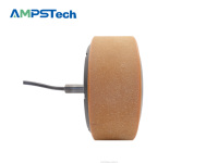 Kit moteur moyeu AMPSTech 8 pouces IP67 48VDC 30Nm avec double servomoteur CAN pour la manutention de matériaux, AGV, AMR, robot mobile