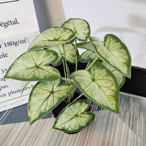 Piccola casa ufficio artificiale Dieffenbachia albero finta pianta d'<span class=keywords><strong>appartamento</strong></span> con verde dorato foglie di plastica <span class=keywords><strong>in</strong></span> <span class=keywords><strong>vaso</strong></span> pianta finta - Product Image 3