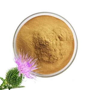 有機水溶性無料サンプル80シリマリンバルクサプライヤーオオアザミ抽出物シリビン30% - Product Image 5