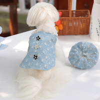 Robe de princesse pour chien en polyester respirant et confortable, style Lolita classique, couleur unie, pour petites races, vente en gros transfrontalière