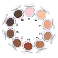 Marque privée Palette de poudre pressée mate 10 couleurs Fond de teint à couverture complète pour peau foncée Correcteur imperméable blanchissant