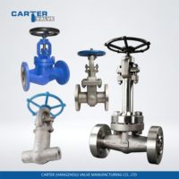 Válvula de Retención de Alta Temperatura Tipo Globo de Acero Cr-Mo Inconel Hastelloy con Brida Tipo Wafer para Medios Corrosivos Neumáticos, Hidráulicos y de Aceite OEM Carter
