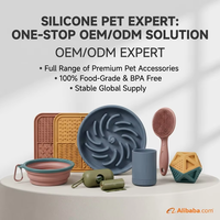SILISUM Fournitures pour animaux de compagnie en silicone de qualité alimentaire personnalisées, accessoires d'alimentation et de toilettage pour animaux de compagnie OEM personnalisés, gamelle pour chien de qualité alimentaire, tapis à lécher