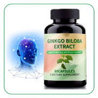 Comprimés d'extrait pur de feuille de Ginkgo Biloba OEM et supplément à base de plantes de Ginseng 300mg 500mg – Comprimé original de Ginkgo Biloba