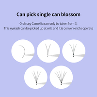 Extensions de cils en éventail à floraison automatique automatique avec logo personnalisé Faux cils faciles à faire pour votre marque