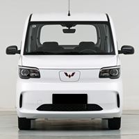 Voiture d'occasion en bon état Wuling Sunshine EV Édition Standard 2025 – Exportation de véhicules d'occasion