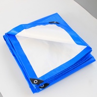 Bâche imperméable robuste transparente bleue et blanche en PE anti-âge isolante avec œillets