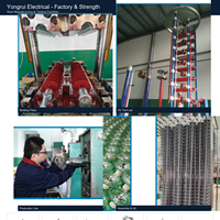 Isolateur de tension composite 36 kV à boucle œillet, haute résistance à l'électricité de fuite aux deux extrémités, pour lignes de traversée de rivières