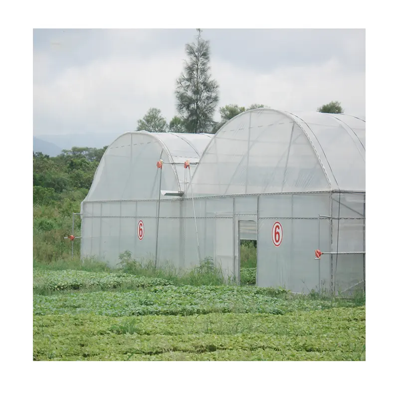 CHINA AGROTIME agrícola marco frío casa verde en Multi-de invernaderos