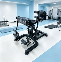 Chaise romaine réglable multifonctionnelle pour entraînement à domicile, équipement de fitness pour la taille, le dos, les abdominaux et le renforcement du tronc