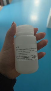 Antígeno para Prueba de Aglutinación de Salmonella Abortus Equina para el <span class=keywords><strong>Diagnóstico</strong></span> Rápido de Aborto Infeccioso Equino - Product Image 3