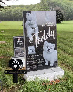 Placa Conmemorativa Metálica Resistente a la Intemperie para Mascotas, Placa Grabada Duradera para Cementerio y Jardín, Homenaje Duradero para Perros y Gatos - Product Image 1