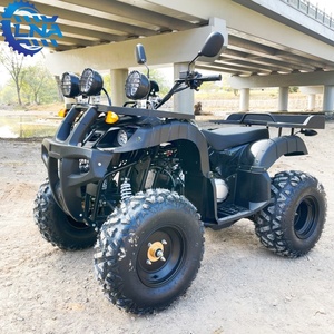 Personalización de Logotipo LNA para Bicicleta <span class=keywords><strong>Quad</strong></span> de 250cc, Se Puede Agregar Logotipo de Empresa, Alquiler Turístico - Product Image 2