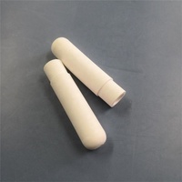 Tube d'aspiration pour l'irrigation en céramique poreuse agricole Tensiomètre du sol Tasse de mesure Tuyau de liquide absorbant