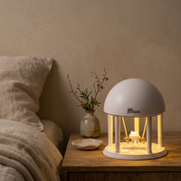 Lampes de table décoratives portables à intensité variable, rechargeables, modernes, à projection réglable, nouveauté E14 DC USB, éclairage nocturne, décoration intérieure