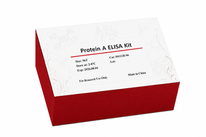 Kit ELISA de Proteína <span class=keywords><strong>A</strong></span> para la detección de Proteína <span class=keywords><strong>A</strong></span> en intermediarios, productos semielaborados y productos farmacéuticos - Product Image 3