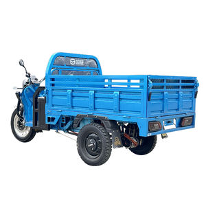 Modèle Siège de Toit Personnes Handicapées Alimentaires Avec Voitures Arrière pour Accessoires Auvent de Chariot d'<span class=keywords><strong>Occasion</strong></span> 800w Adultes Pneu Tricycle Électrique Pièces - Product Image 5