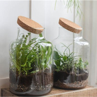 Pot de terrarium en verre transparent de bonne qualité avec couvercle en liège LED pour plante aquatique à poisson à la maison
